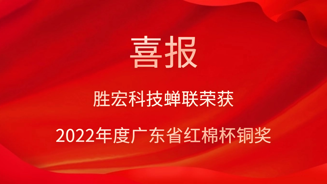 lewin乐玩科技荣获2022年度广东省红棉杯铜奖