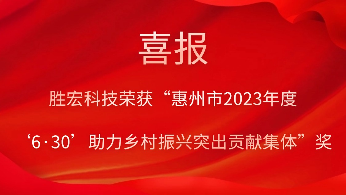 lewin乐玩科技荣获“惠州市2023年度‘6·30’助力乡村振兴突出贡献集体”奖